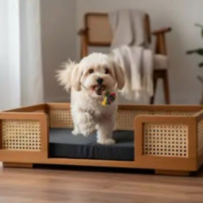 Cama Pet Luxo: Uma obra de arte para o seu melhor amigo